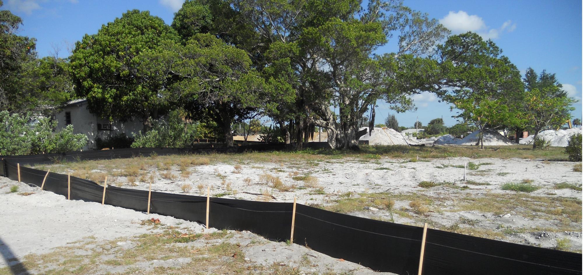 Photo of empty dirt lot with trees before construction began