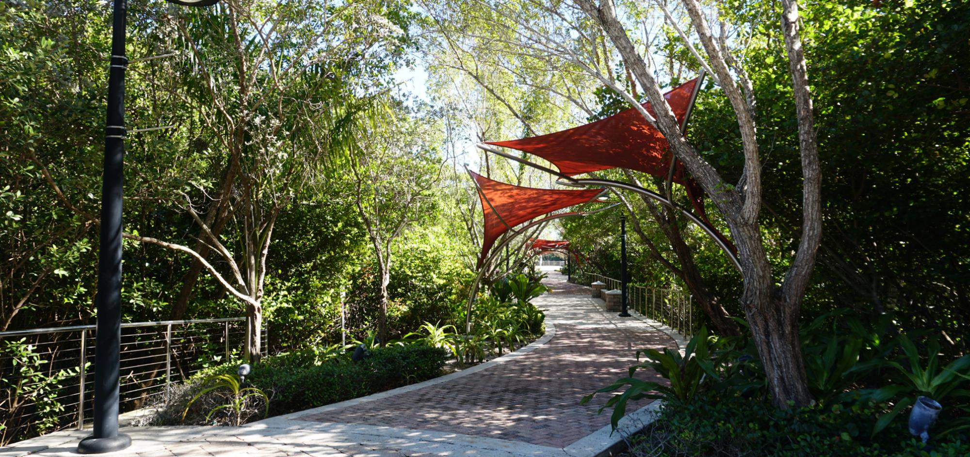 View of paved walkway through mangrove trees