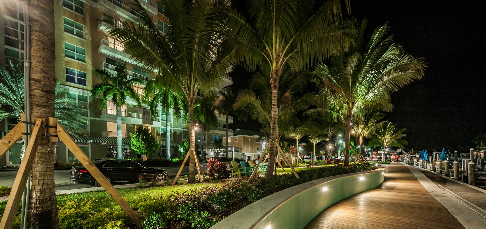 Night view of boardwalk at Marina with accent lighting on walkway and palm trees